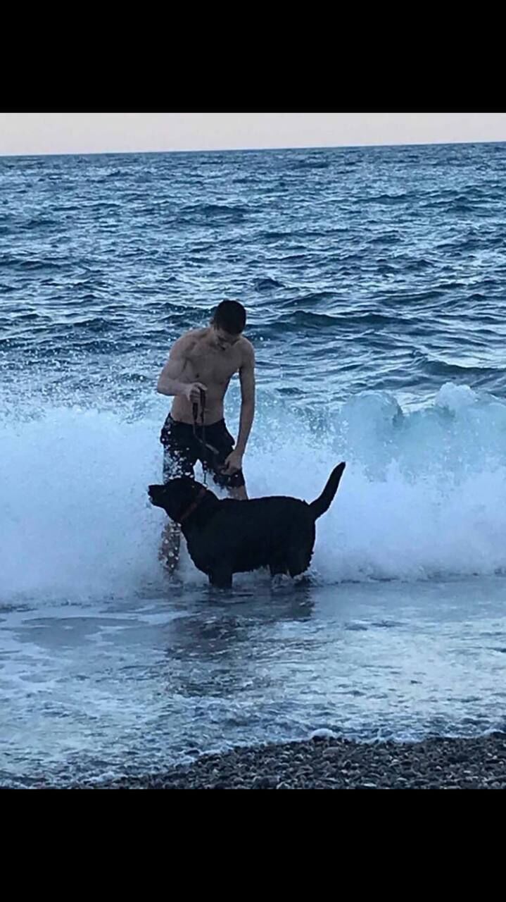 ���� 33320117 ����� ����, 24 ����, ���� ���������� � �����������