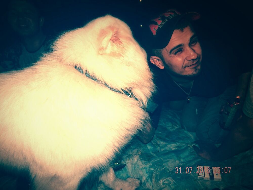 ���������� ������, ���� ������� �����, 38 ���, ������������ ��� ������, ����� � ���������, c�������� ���������