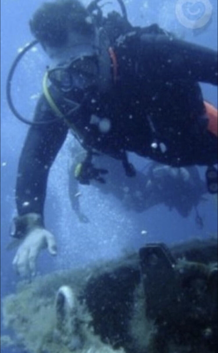  -,   , 35 ,   ,   