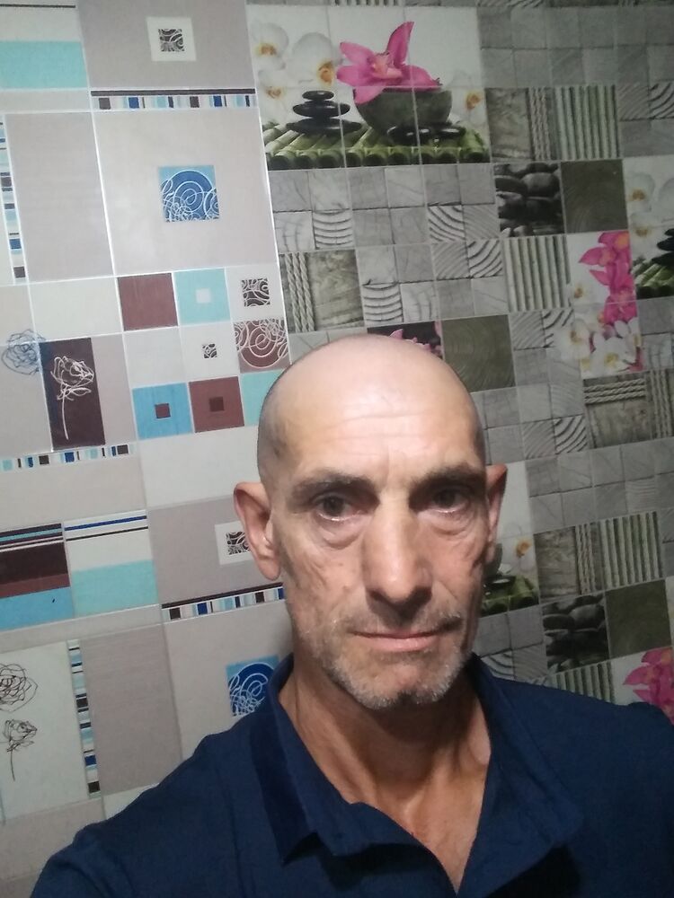  44368937  , 53 ,    