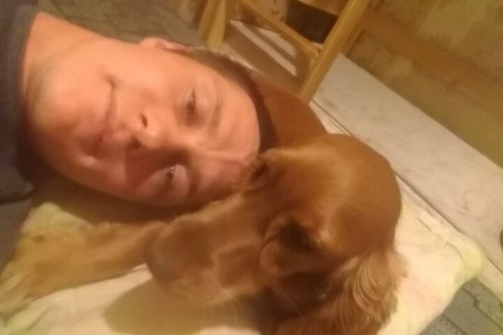 ���� 15342487 ������� ���������, 38 ���, ���� ���������� � ������