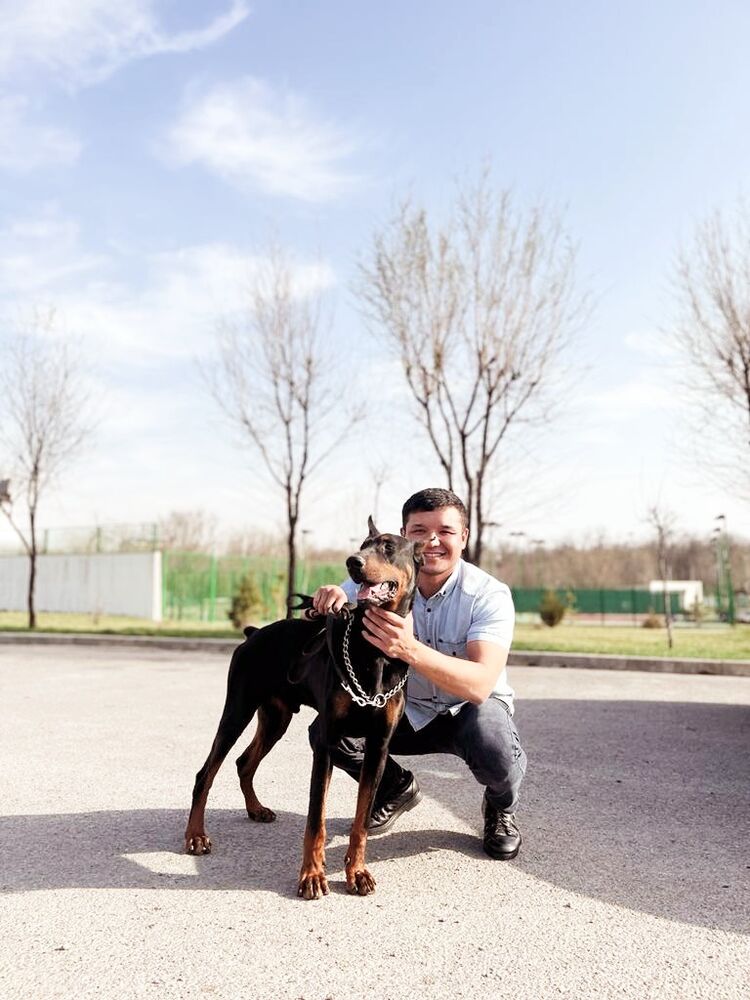 ���� 37803197 ������� Arman, 33 ����, ���� ���������� � ��������