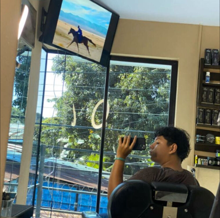 ���������� ������, ���� ����� David, 19 ���, ������������ ��� ������, ����� � ���������, c�������� ���������