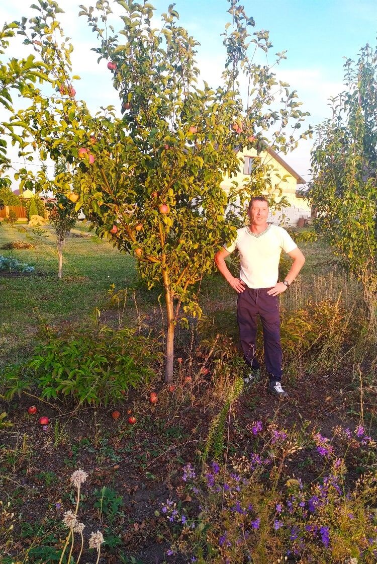 ���������� ������, ���� ������� �������, 38 ���, ������������ ��� ������, ����� � ���������