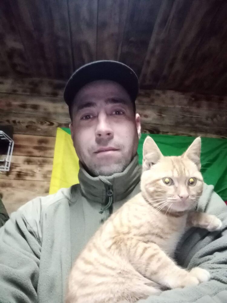 ���� 55590297 ������� �������, 44 ����, ���� ���������� � �������