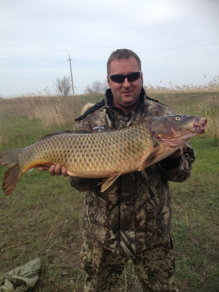 ���������� ������, ���� ������� ������, 42 ����, ������������ ��� ������, ����� � ���������, c�������� ���������