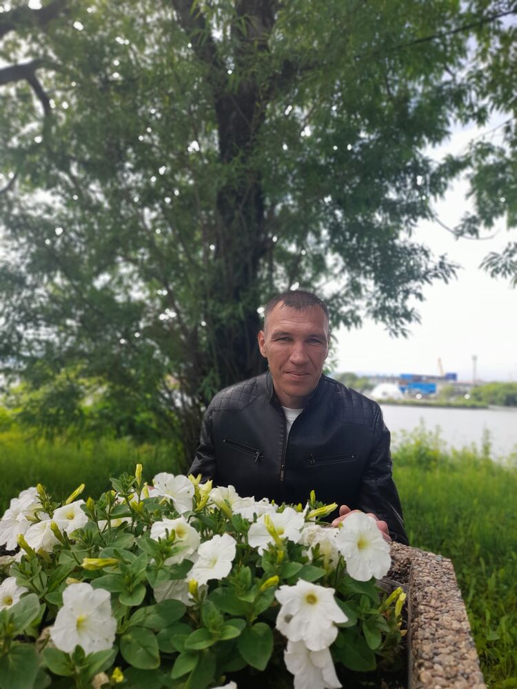  53742537  , 42 ,    -