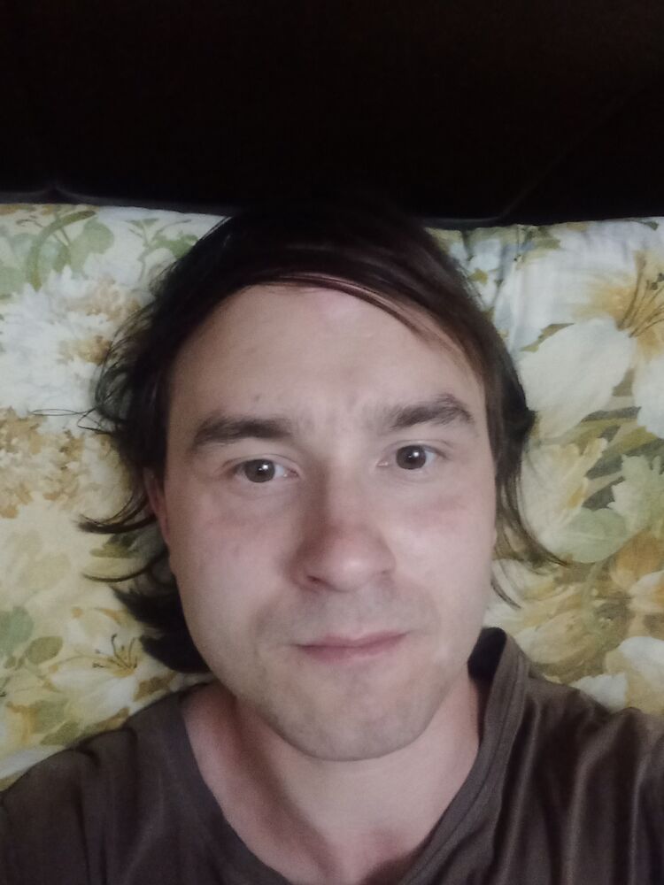  40191697  , 31 ,    