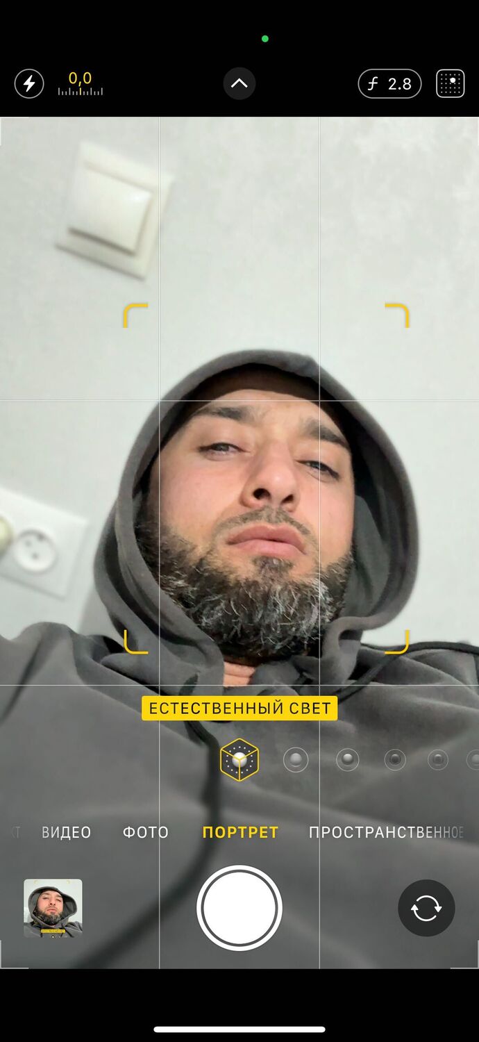  ,   Wolf, 36 ,   ,   , c 