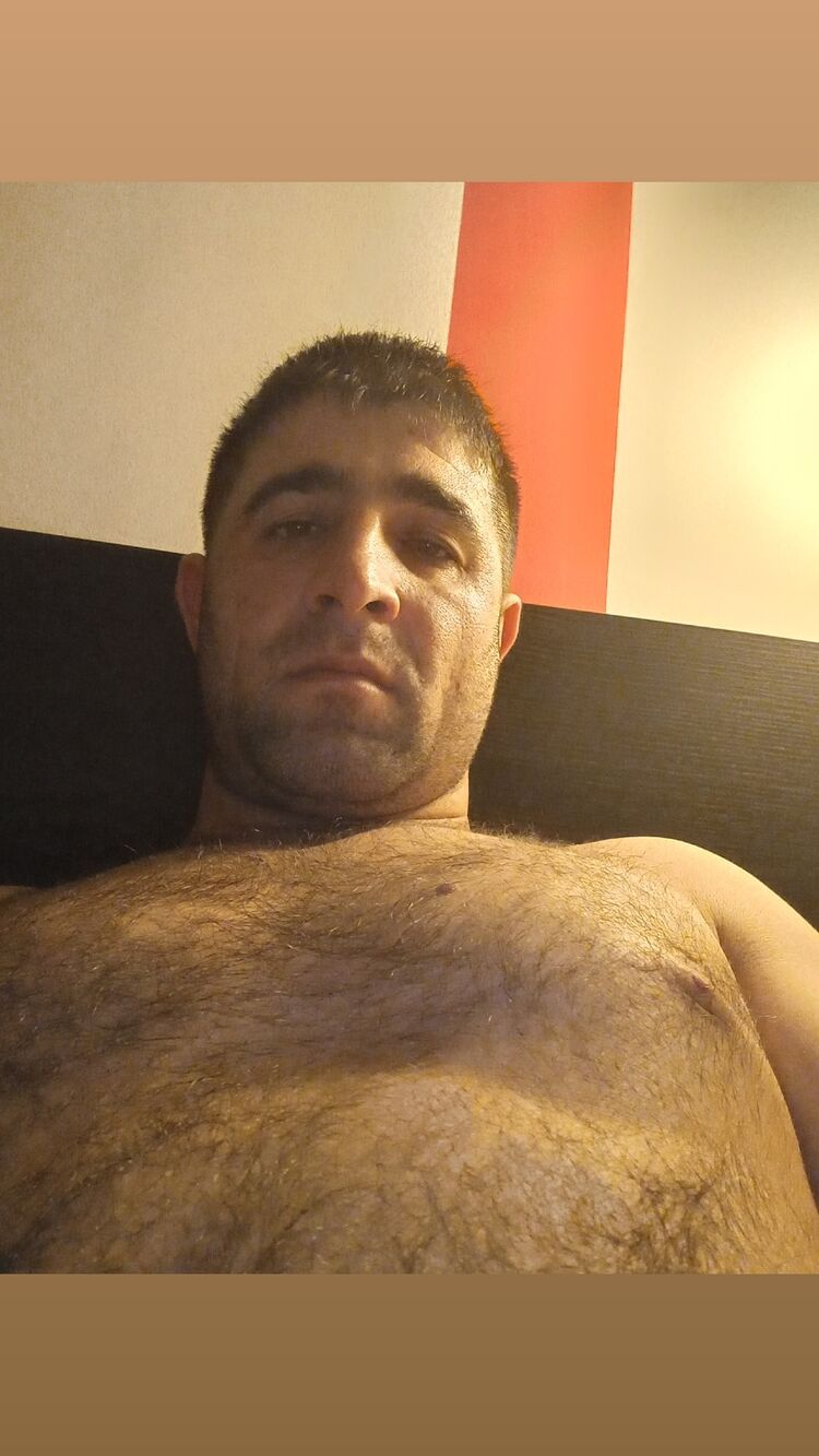  44081997  , 37 ,    