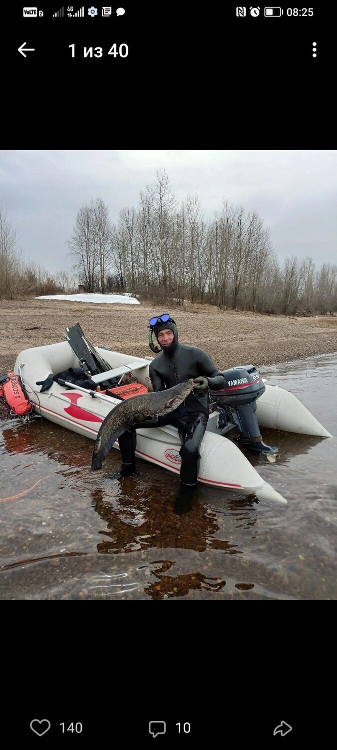 ���������� ���������, ���� ������� �������, 38 ���, ������������ ��� ������, ����� � ���������