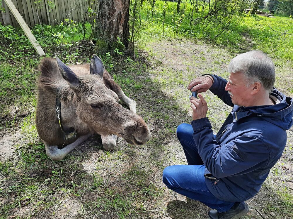 ���������� ���������, ���� ������� ���������, 69 ���, ������������ ��� ������, ����� � ���������