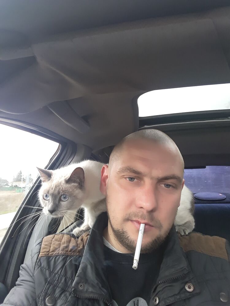 ���������� �����������, ���� ������� �������, 40 ���, ������������ ��� ������, ����� � ���������, c�������� ���������