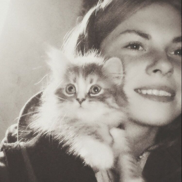  -,   , 19 ,   ,   