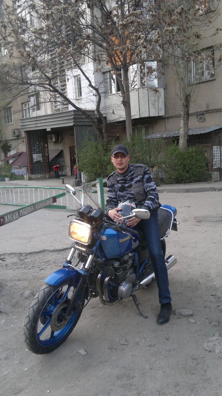  31533007  , 42 ,    