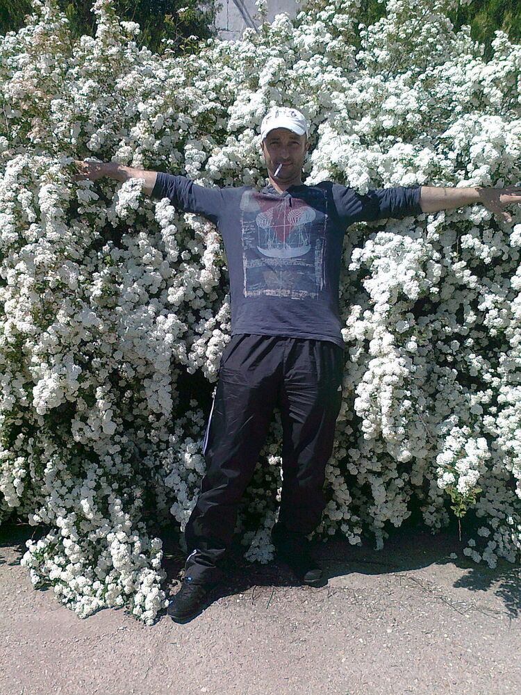  ,   , 48 ,  