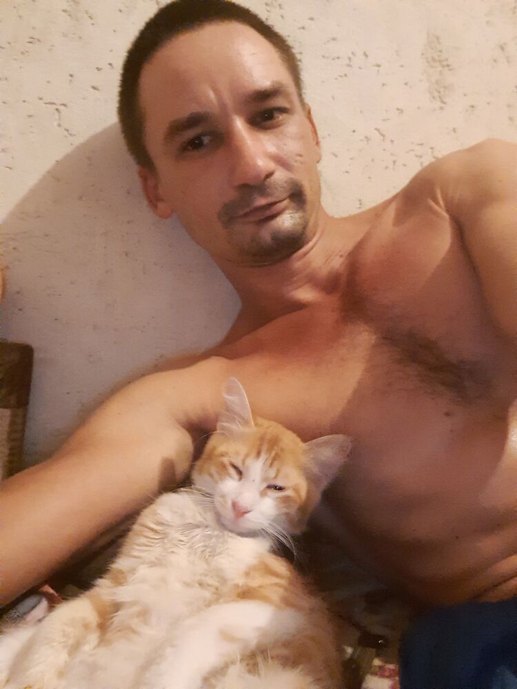 ���������� �����������, ���� ������� ��������, 33 ����, ������������ ��� ������, ����� � ���������, c�������� ���������, ���������