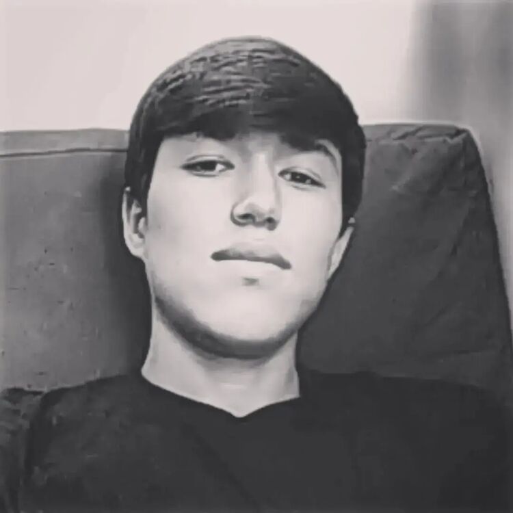  44678477  , 21 ,    -