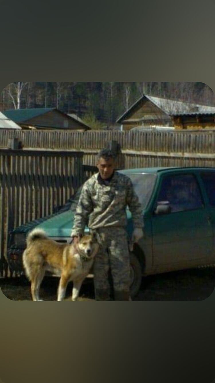 ���� 50077107 ������� �����, 56 ���, ���� ���������� � ������-����������