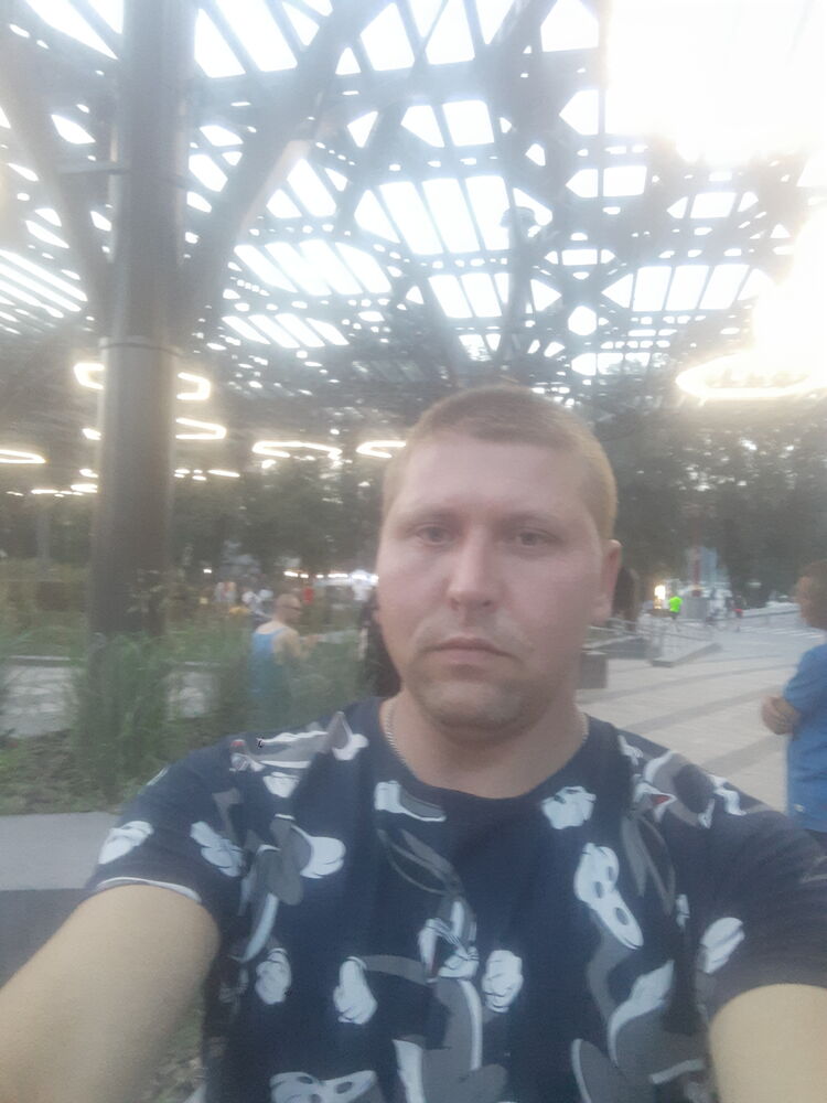  31340977  , 36 ,    