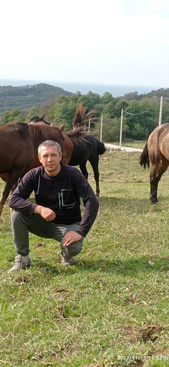  39267637  , 42 ,    --