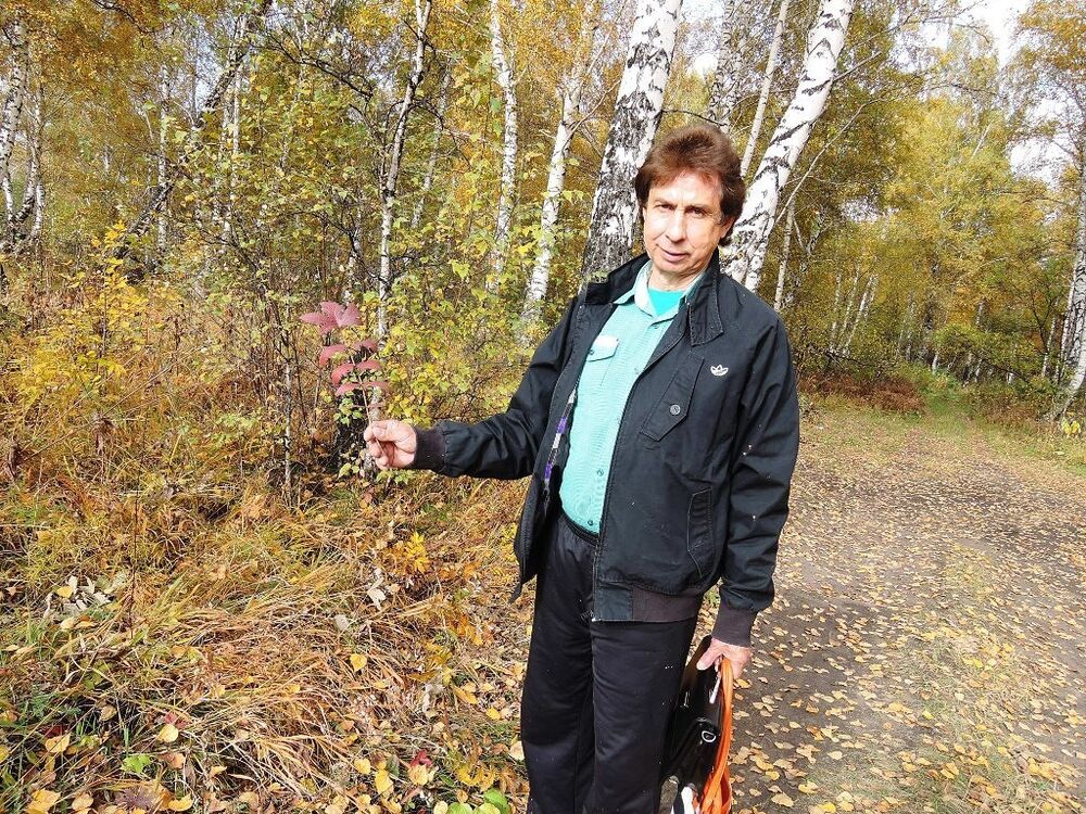  ,   , 55 ,   