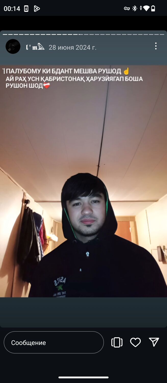 ���� 50651997 ����� �������, 24 ����, ���� ���������� � ������