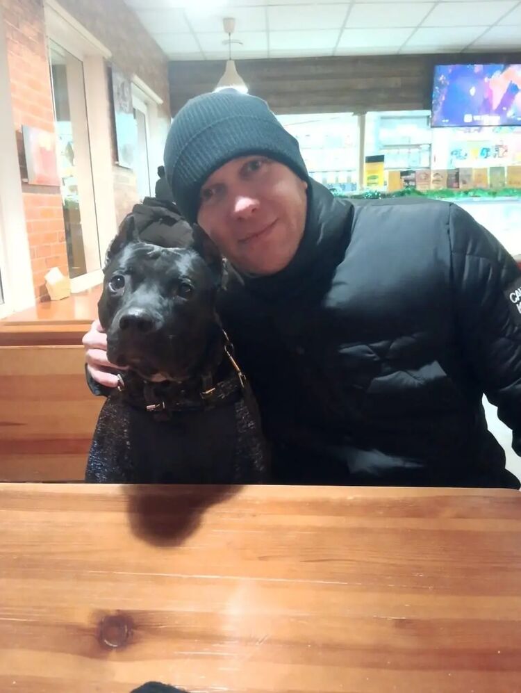 ���� 53233877 ������� �����, 36 ���, ���� ���������� � ������