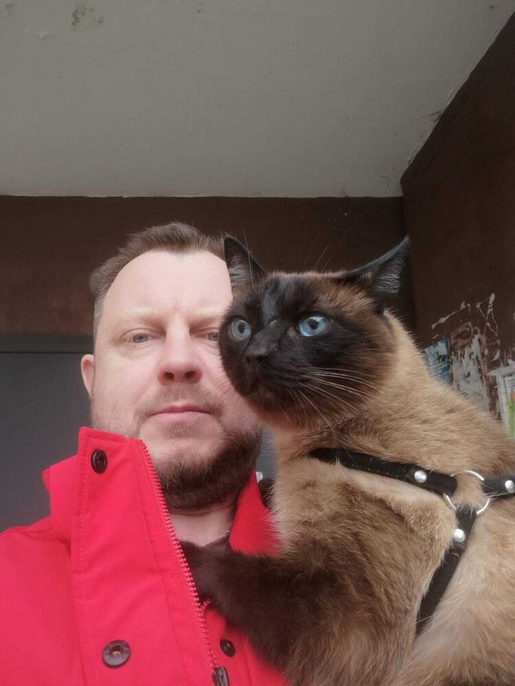 ���������� ������������, ���� ������� ���������, 51 ���, ������������ ��� ������, ����� � ���������, ���������