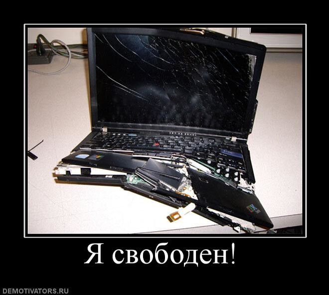  ,   Optimus, 38 ,   ,   , c 