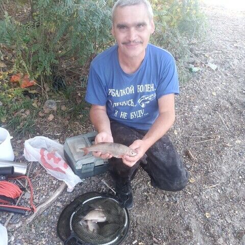 ���������� ������-��-����, ���� ������� �������, 44 ����, ������������ ��� ������, ����� � ���������, c�������� ���������