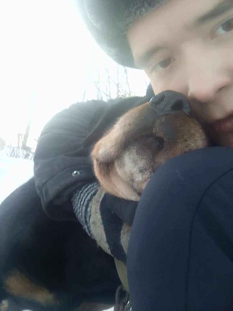 ���������� �����������, ���� ������� �������, 29 ���, ������������ ��� ������, ����� � ���������, c�������� ���������