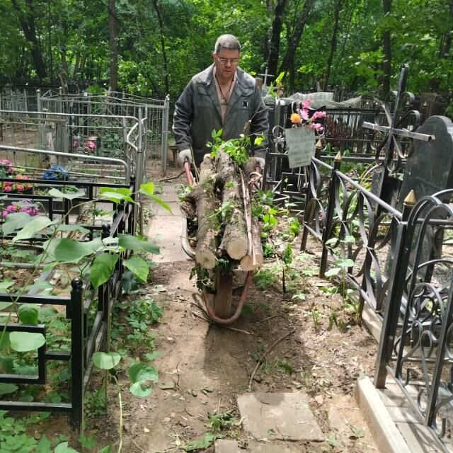 ���� 50505177 ������� �������, 45 ���, ���� ���������� � ������