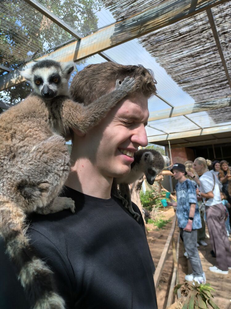 ���������� �����-���������, ���� ����� �������, 23 ����, ������������ ��� ������, ����� � ���������