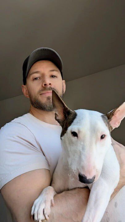 ���� 56123977 ������� ������, 36 ���, ���� ���������� � ��������