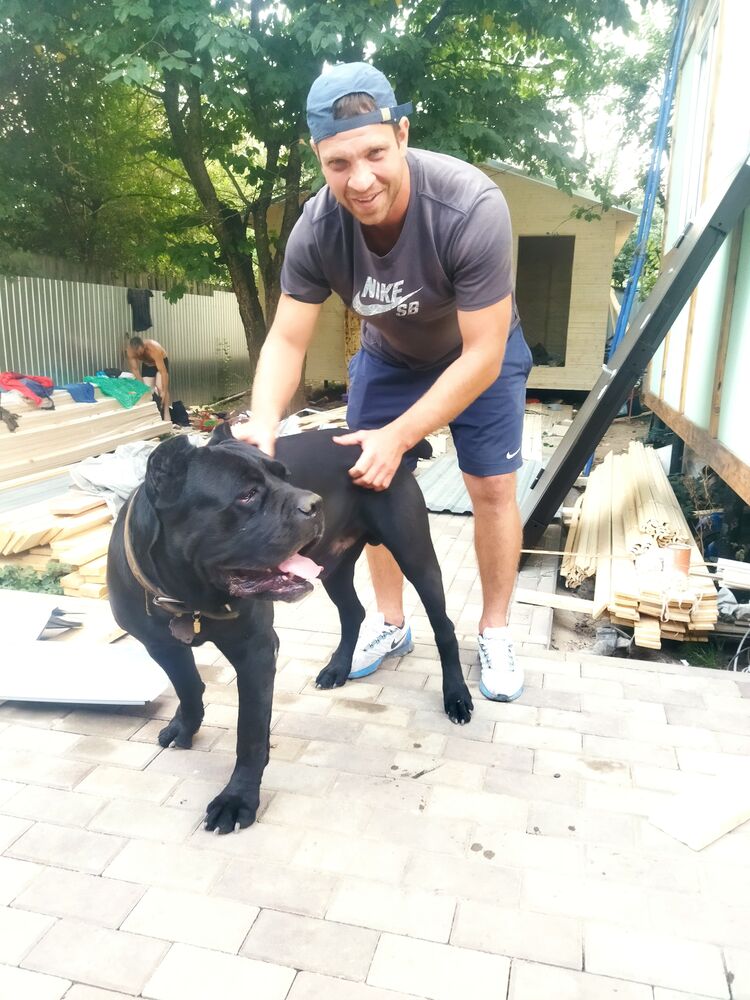 ���� 47323747 ������� ���������, 39 ���, ���� ���������� � ������