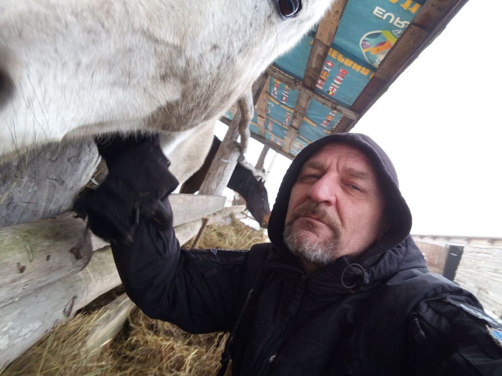 ���� 55649307 ������� �������, 49 ���, ���� ���������� � ��������