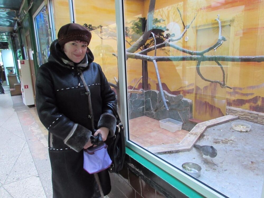 ���������� ����, ���� ������� ������, 60 ���, ������������ ��� ������, ����� � ���������, c�������� ���������