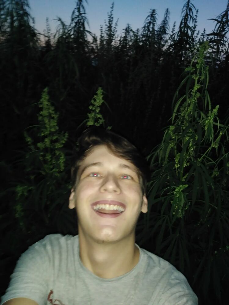 ���������� �����������, ���� ����� �����, 24 ����, ������������ ��� ������, ����� � ���������, c�������� ���������, ���������