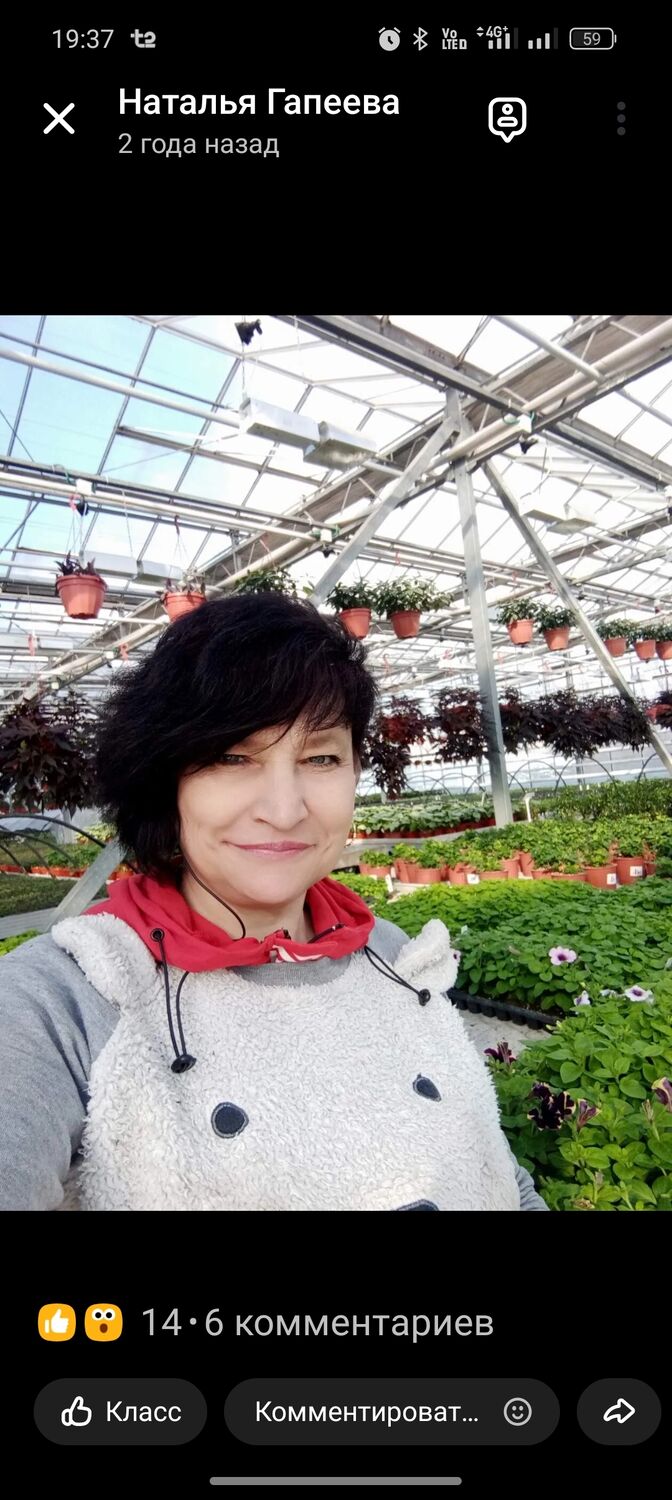  ,   , 53 ,   c 