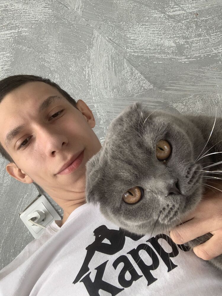 ���������� ��������, ���� ����� ������, 24 ����, ������������ ��� ������, ����� � ���������