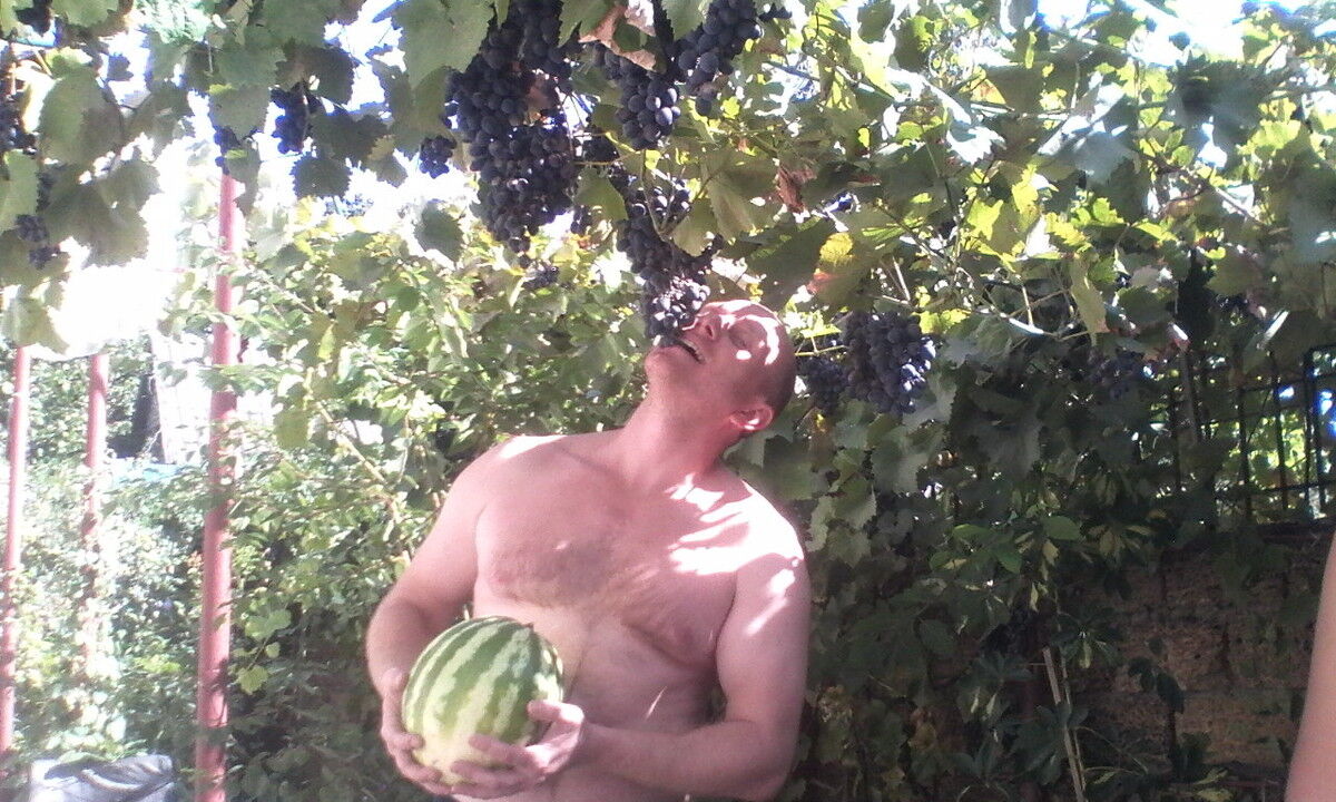 ���������� ����, ���� ������� Alex, 42 ����, ������������ ��� ������, ����� � ���������, c�������� ���������