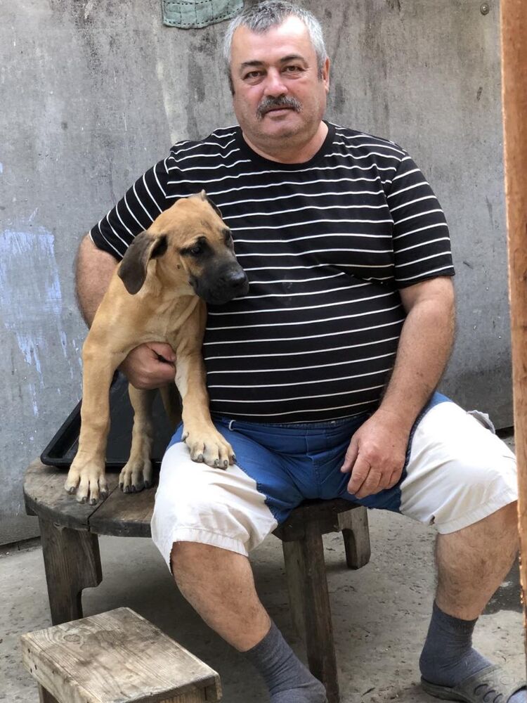 ���������� ������, ���� ������� �����, 60 ���, ������������ ��� ������, ����� � ���������