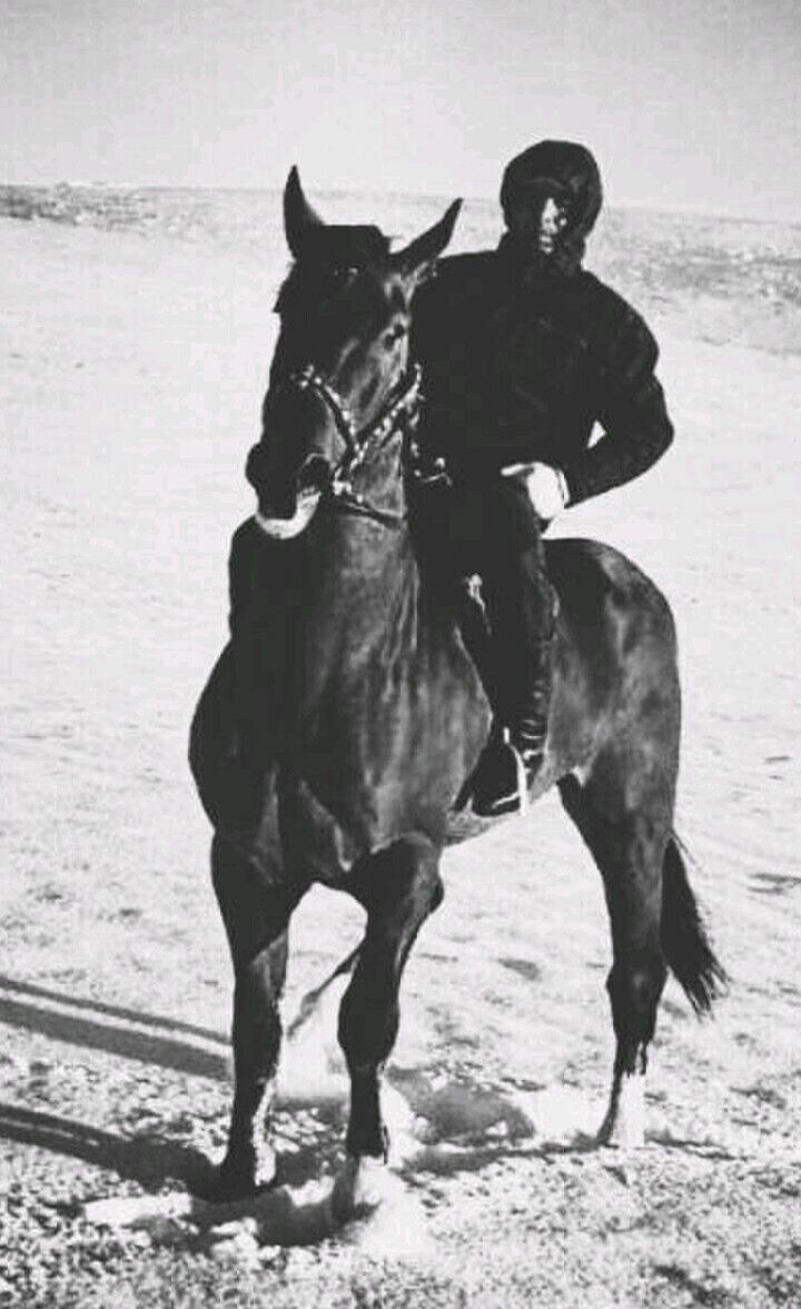 ���� 20503327 ������� ����, 33 ����, ���� ���������� � ���