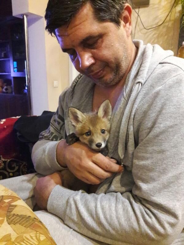 ���� 56104407 ������� �����, 50 ���, ���� ���������� � ����������