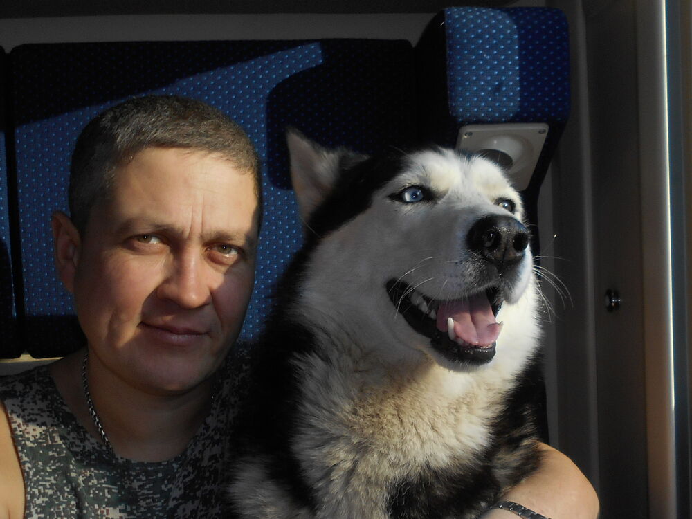 ���������� ����������, ���� ������� �������, 47 ���, ������������ ��� ������, ����� � ���������, c�������� ���������