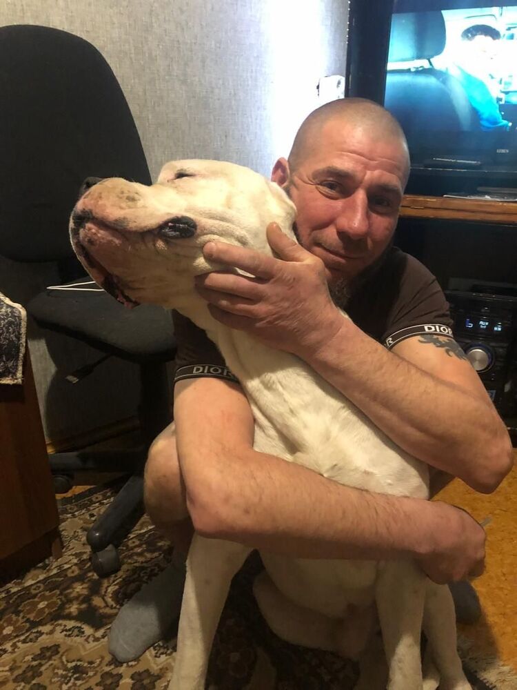 ���� 56198227 ������� �����, 43 ����, ���� ���������� � ��������