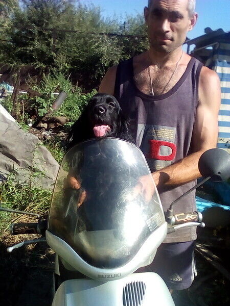 ���������� �����, ���� ������� ����, 48 ���, ������������ ��� ������, ����� � ���������, c�������� ���������