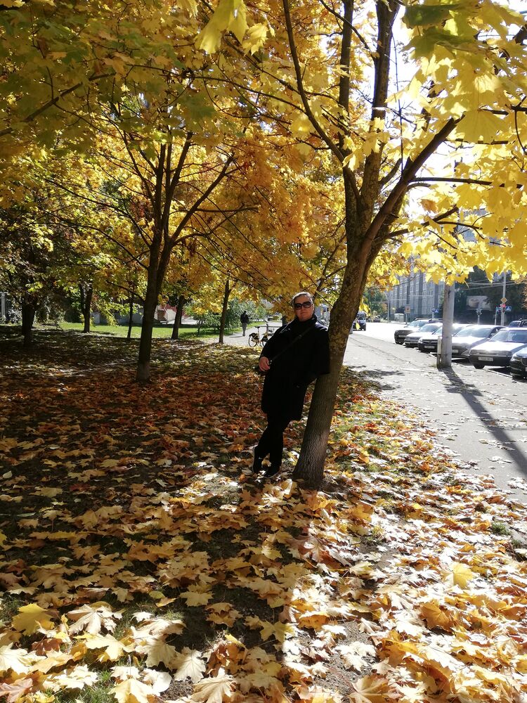 ���������� �����, ���� ������� �������, 55 ���, ������������ ��� c�������� ���������