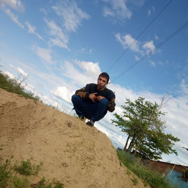  33192587  , 22 ,    